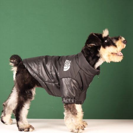 The Dog face jacket for extreme winters black