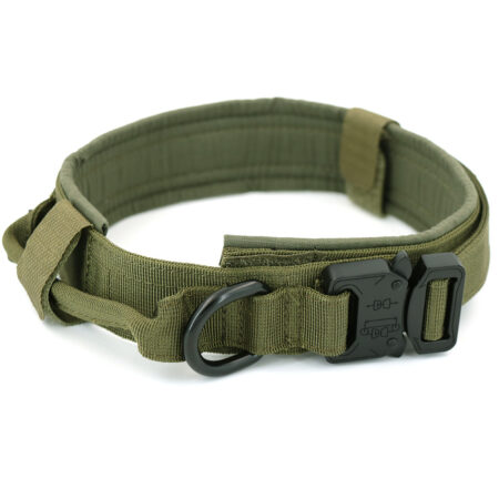 Green dog collar