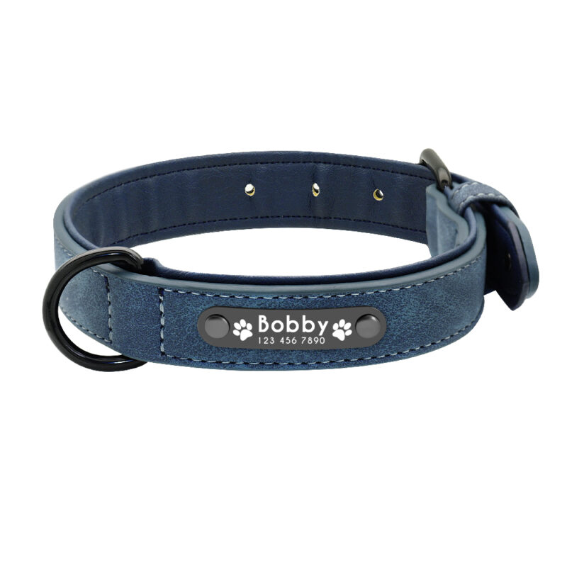 custom dog collar with name ID blue